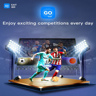 Digibox BT5.2 Iptv Box 4GB RAM テレビ用ブルートゥース 音声制御